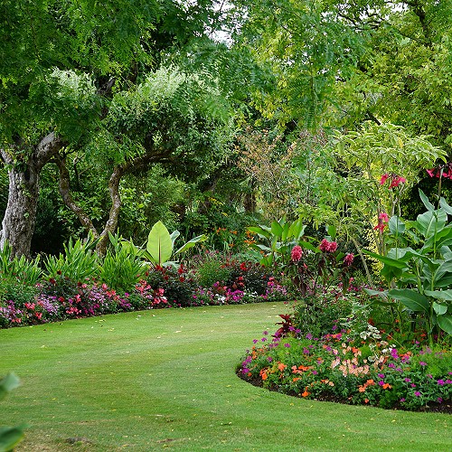 Foto Construcción y reforma de jardines